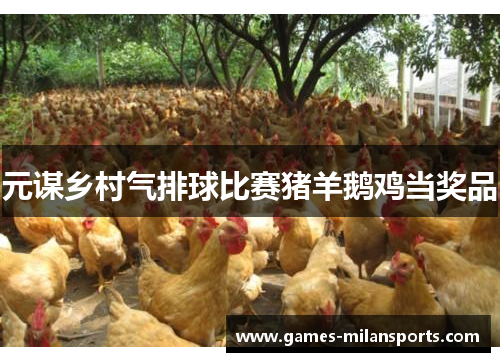 元谋乡村气排球比赛猪羊鹅鸡当奖品